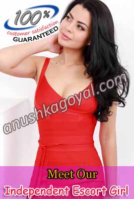 Vikas Puri escorts